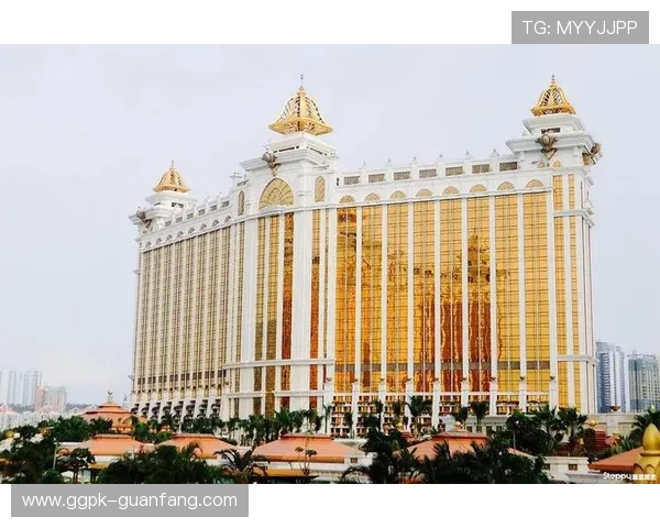 新澳门娱乐：探索最新的娱乐方式与潮流趋势